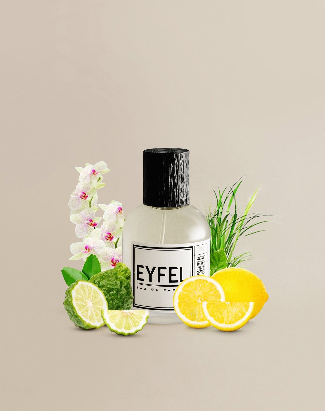 Eyfel M-1