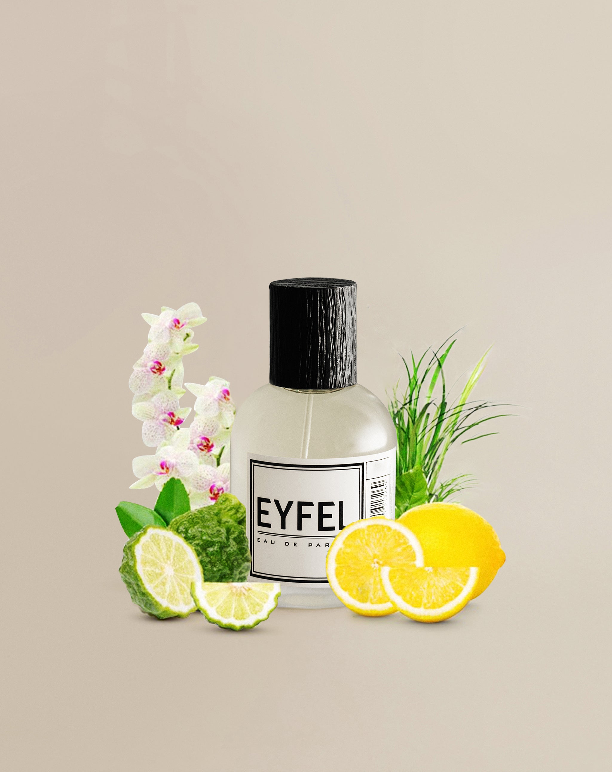 Eyfel M-1