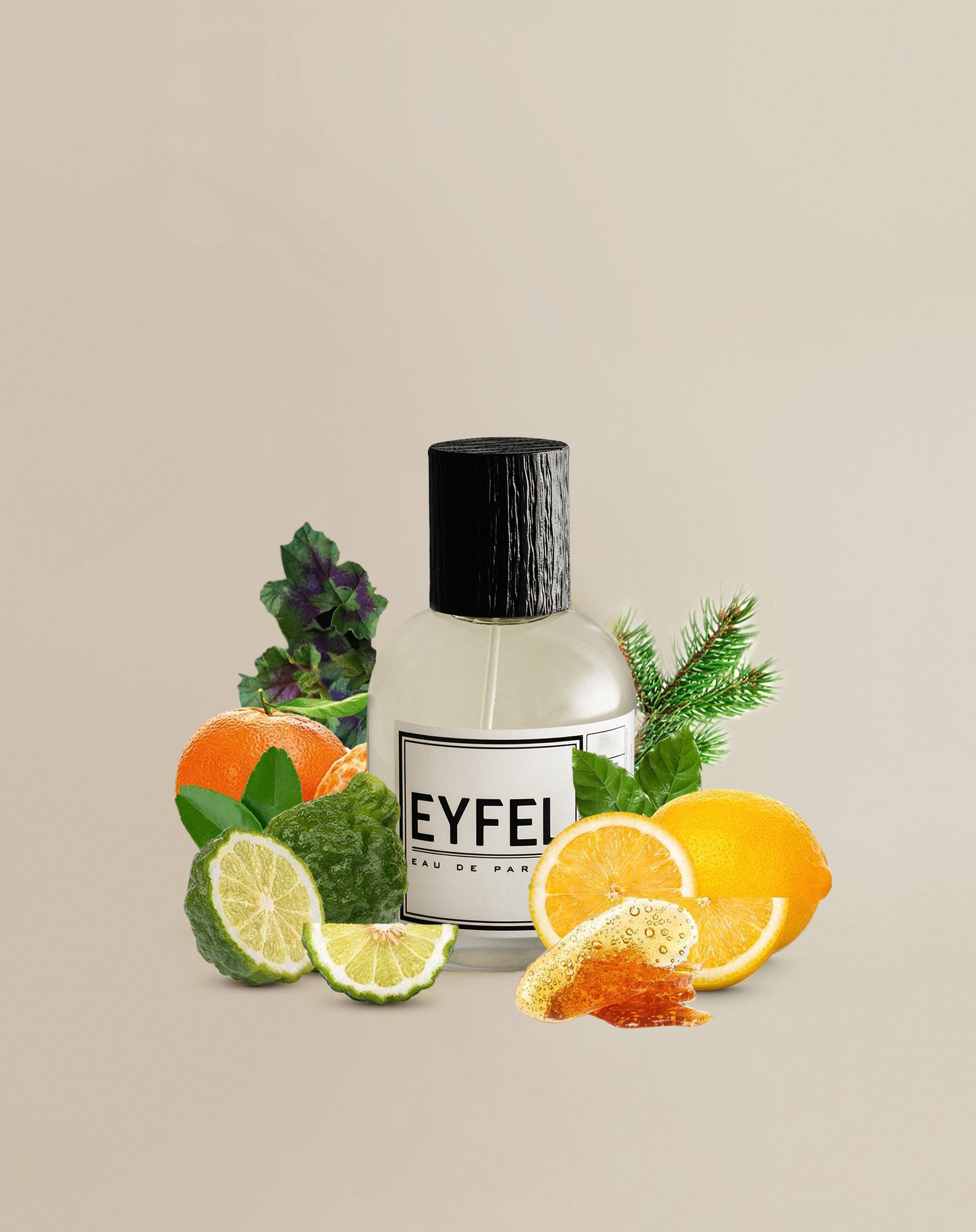 Eyfel M-21