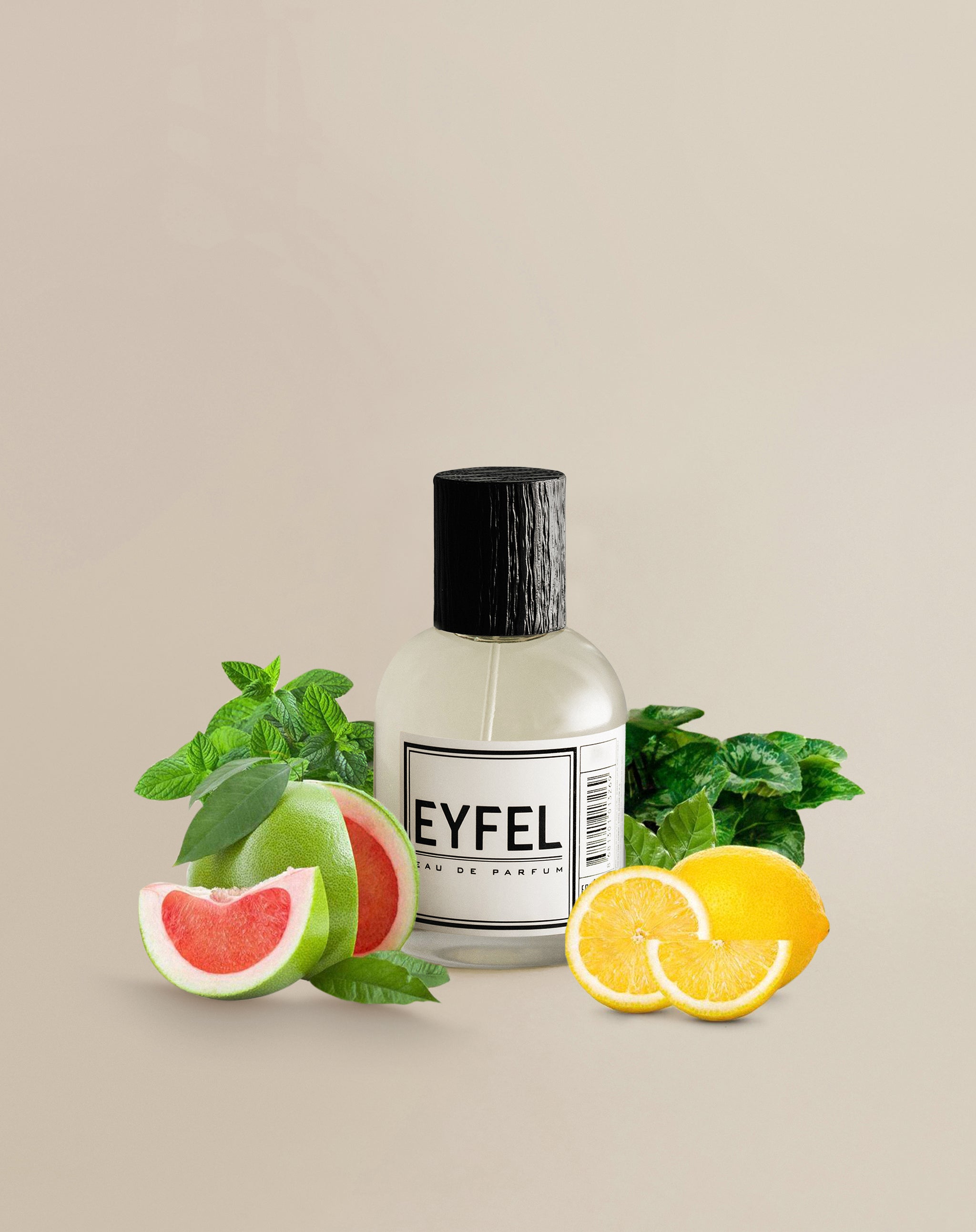 Eyfel M-55