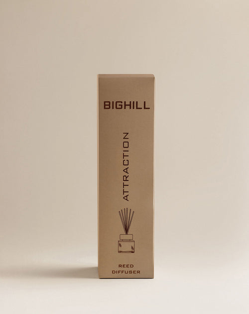 Bighill 120 ml Reed Diffuser with Sticks – Attraction Home Fragrance Air Freshener