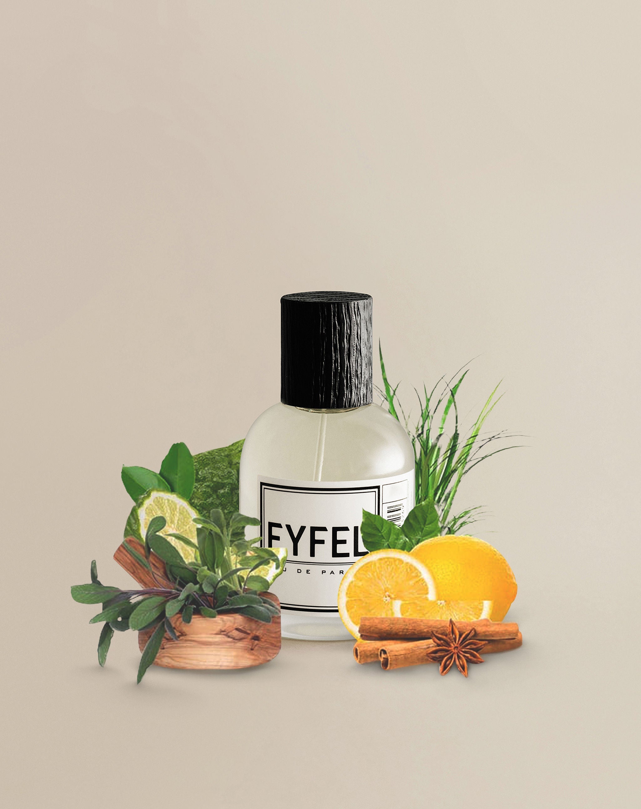 Eyfel M-12